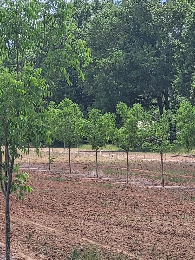 A LITTLE HISTORY ABOUT OUR FARM