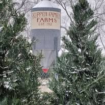 Pecans, Christmas Trees, Preserves, Syrups, and so much more
