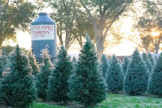 History Made - Skipper Family Farms - Macon, GA - Live Choose and Cut Christmas Tree Farm